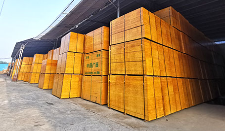 怪獸木業(yè) 怪獸木業(yè)