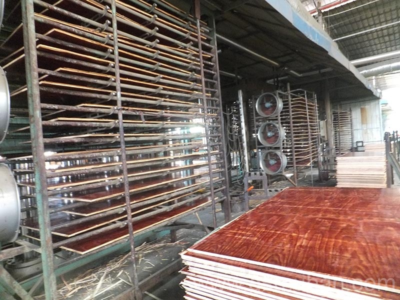 建筑工地模板多少錢一平方?都說這家價格實惠 建筑工地模板多少錢一平方?都說這家價格實惠