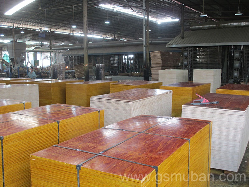 2025年建筑木模板行業新趨勢！