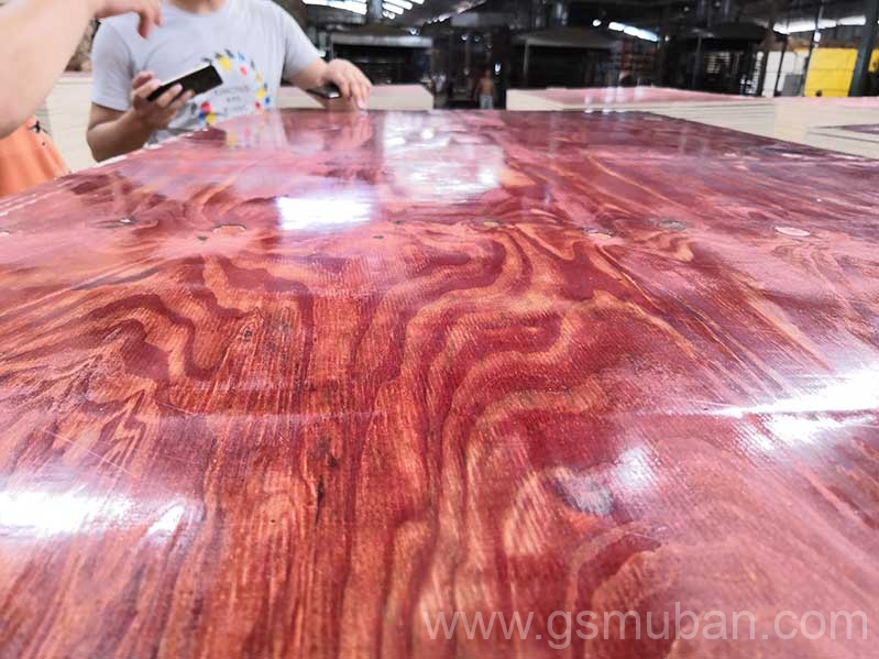 2025年建筑模板市場分析：機遇與挑戰并存！